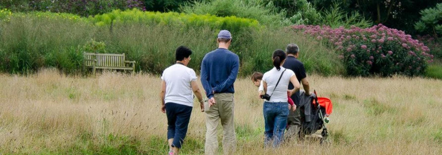 Toegankelijk uitstapje: Arboretum Kalmthout