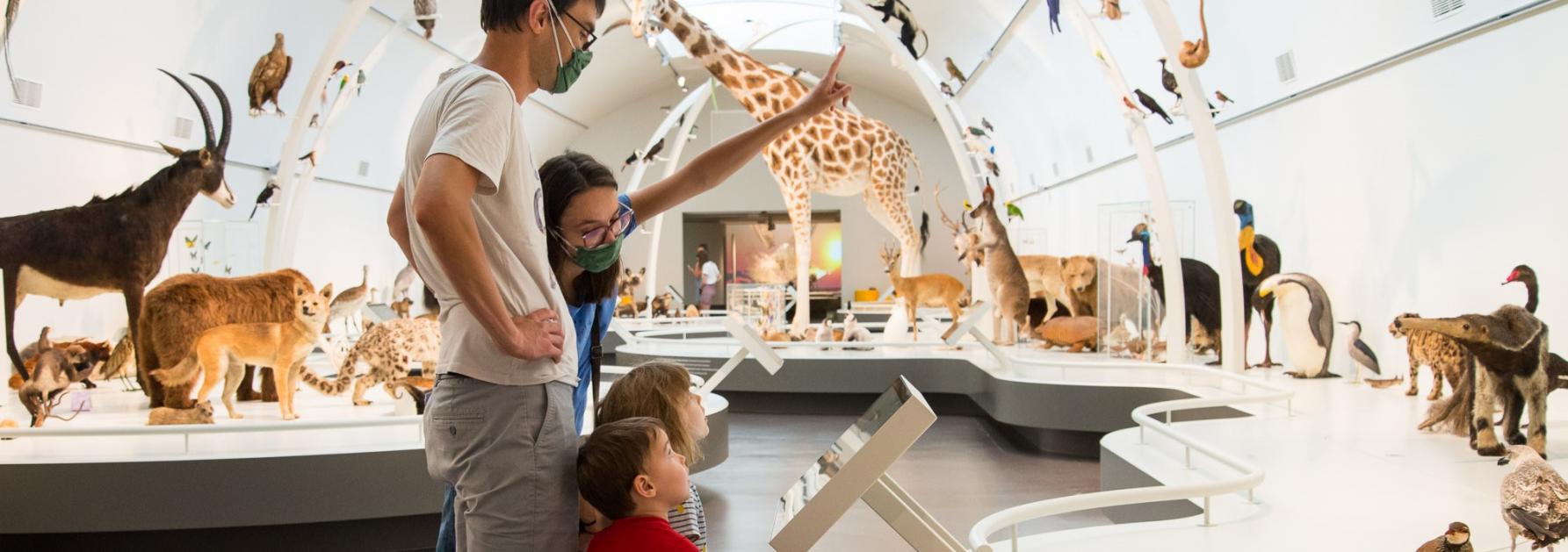 Museum voor Natuurwetenschappen