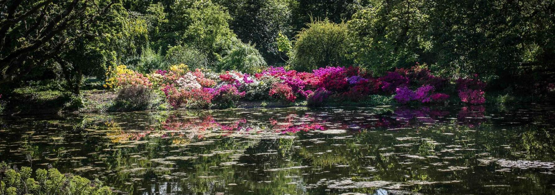 Kleurige bloemen en een waterpartij
