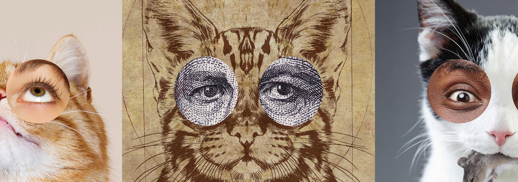Poes! in het Yper Museum