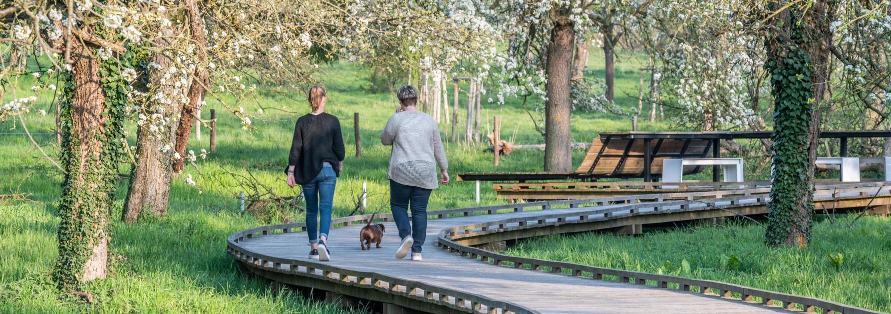 Bloesemwandeling in Alden Biesen