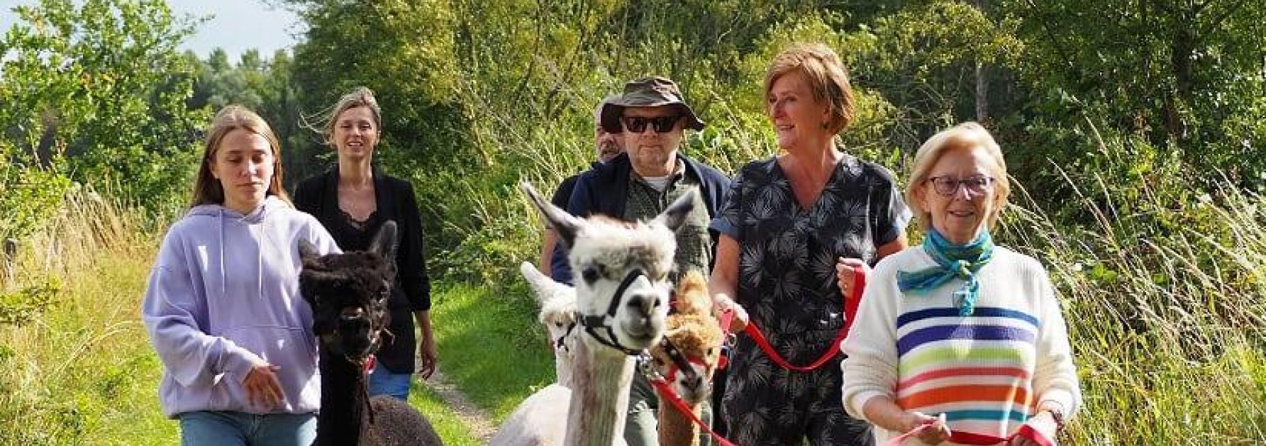 alpacawandeling
