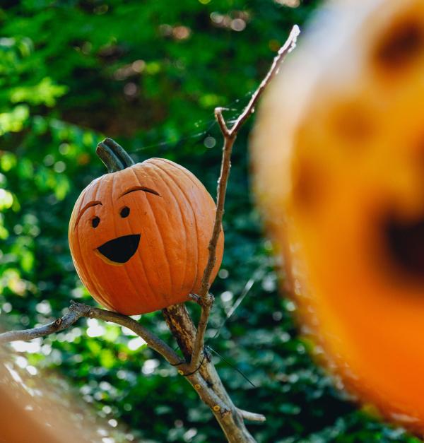 Pompoen met lachend gezichtje