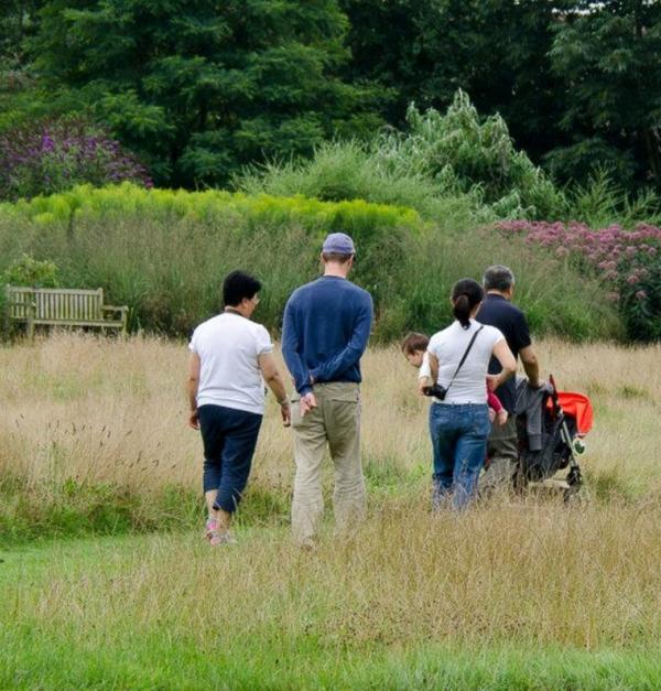 Toegankelijk uitstapje: Arboretum Kalmthout
