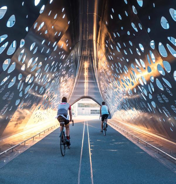 fietsers in Antwerpen