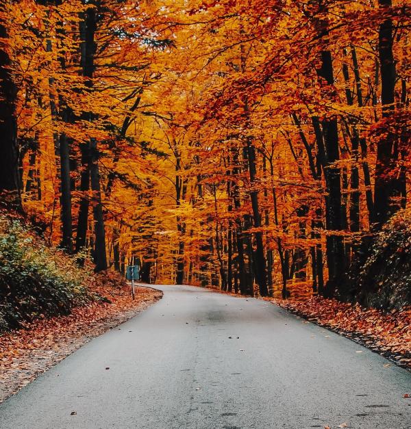 herfst