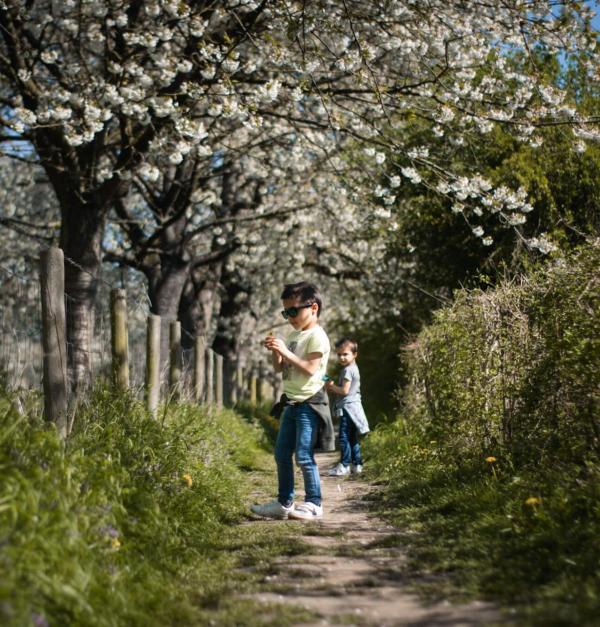 Twee kinderen tussen de bloesems