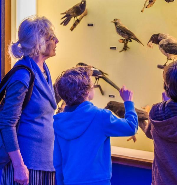 Musea voor kleine dierenvrienden
