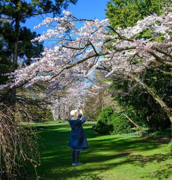 Arboretum Kalmthout